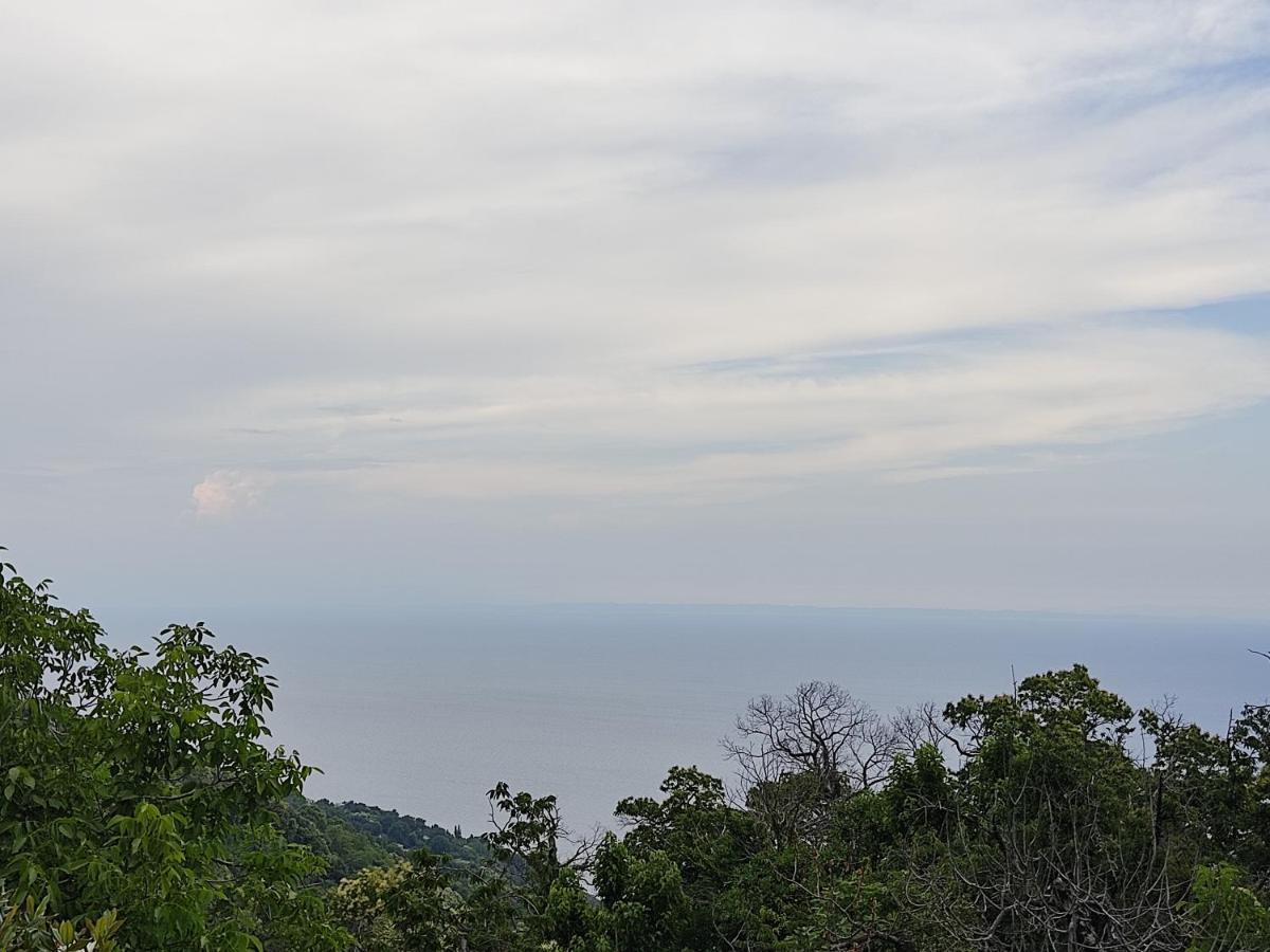 Cozy Blue Stone House With A Great Sea View. Villa Tsagarada Bagian luar foto